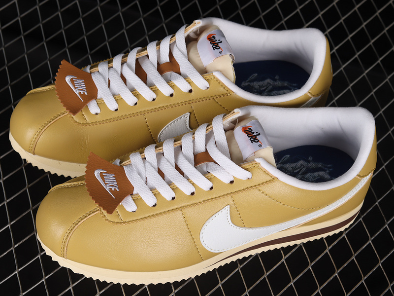 Cortez 23 wheat gold