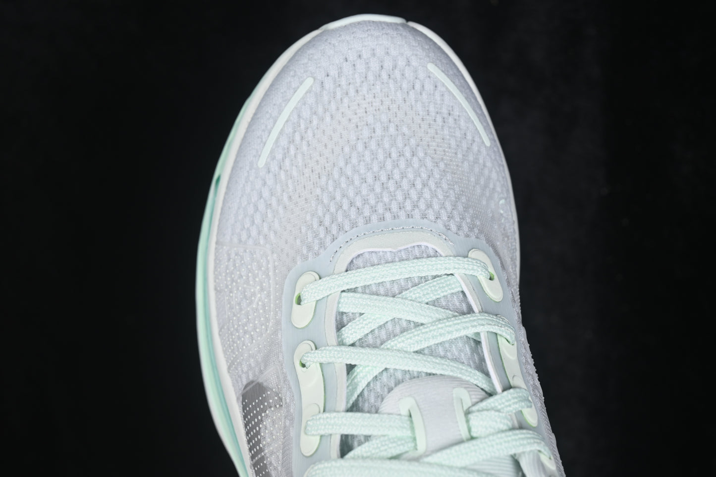 Nike Vomero Premium Barely Green
