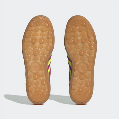 Gazelle indoor shock purple